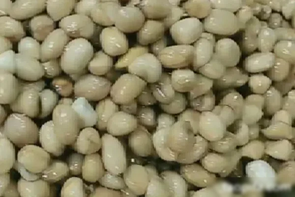 四季怪味花生米视频教程-香源配方网