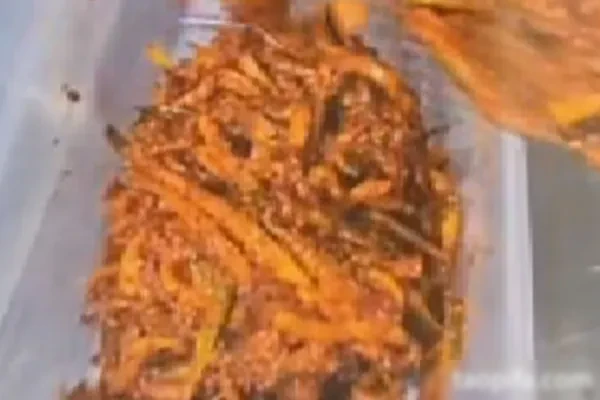 韩式香辣萝卜条和韩式香辣萝卜丝技术-香源配方网