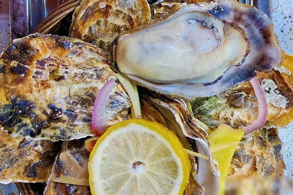 图片[1]-网红高压锅生蚝制作视频教程-香源配方网