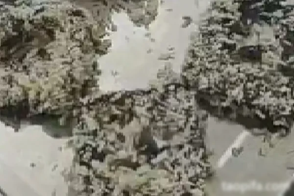 豆腐王朝三口味技术配方-香源配方网