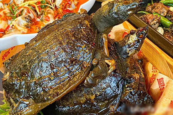 金沙酱甲鱼技术配方和视频教程-香源配方网