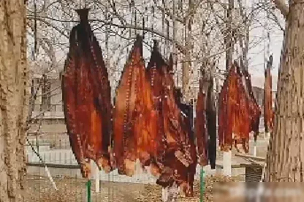 酱香风干手撕鲅鱼视频教程-香源配方网