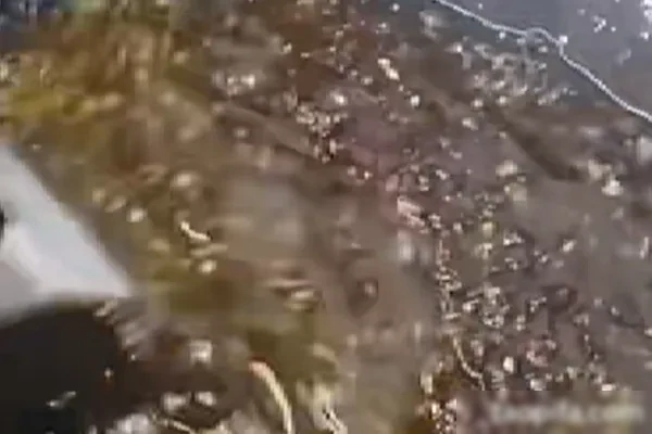 图片[1]-广东顺德秘制啫鱼酱技术配方和视频教程-香源配方网