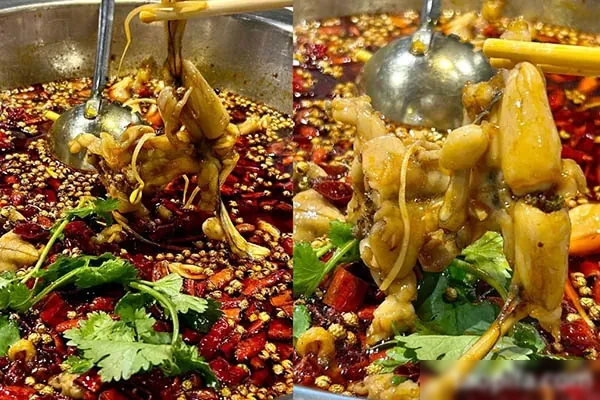 图片[1]-美蛙鱼头技术配方资料-香源配方网