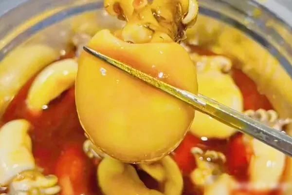 辣卤海鲜汁(纯商用配方)视频教程-香源配方网