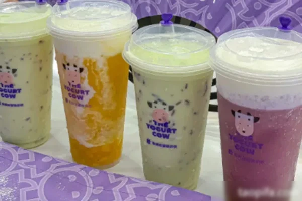 图片[1]-一只酸奶牛技术配方和视频教程-香源配方网