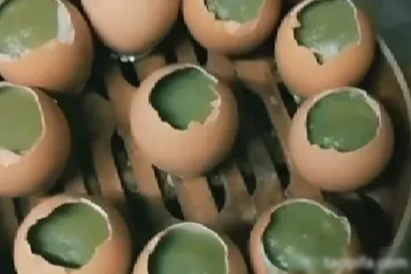 图片[1]-实蛋材料制作(商用版) 视频教程-香源配方网