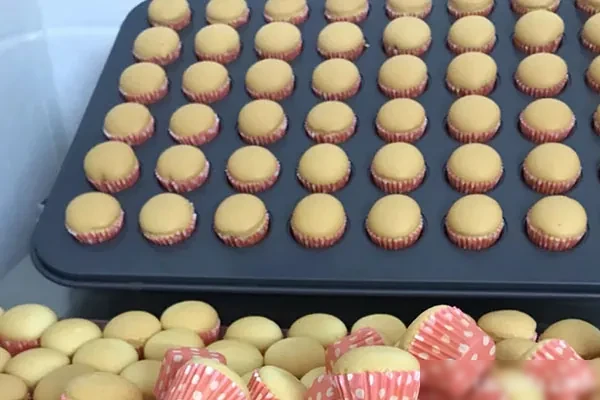 图片[1]-烘焙蛋糕仔书籍教学及视频教程-香源配方网