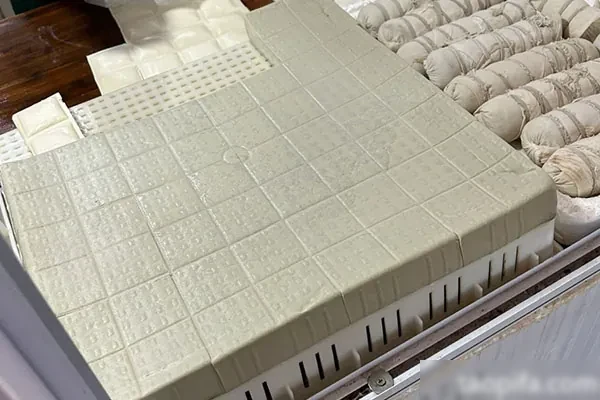 实体店豆腐制品加工技术配方资料-香源配方网